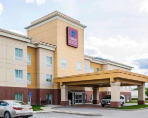 Гостиница Comfort Suites near Indianapolis Airport  Индианаполис